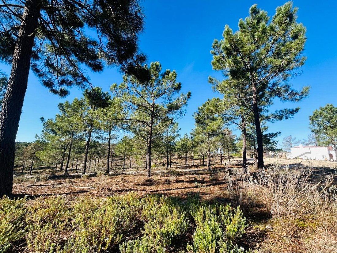 Land in Carvalhal, Setubal, Portugal 3 - 16958539