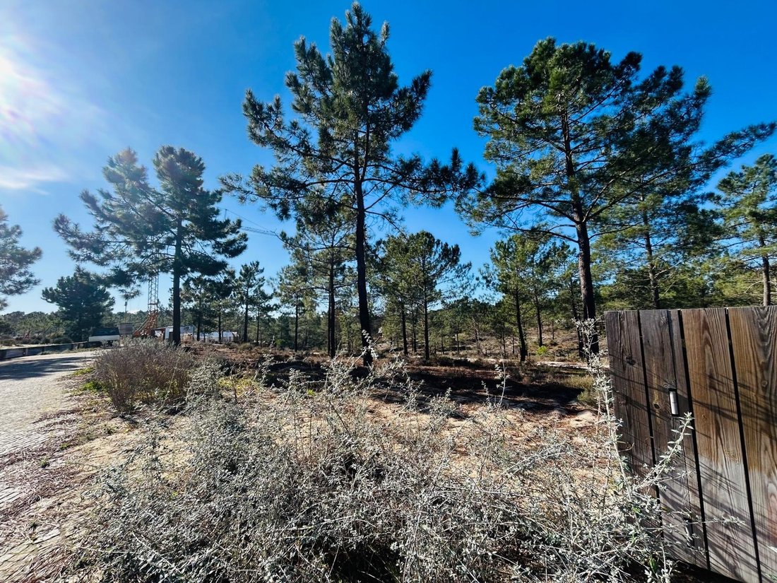 Land in Carvalhal, Setubal, Portugal 5 - 16958539