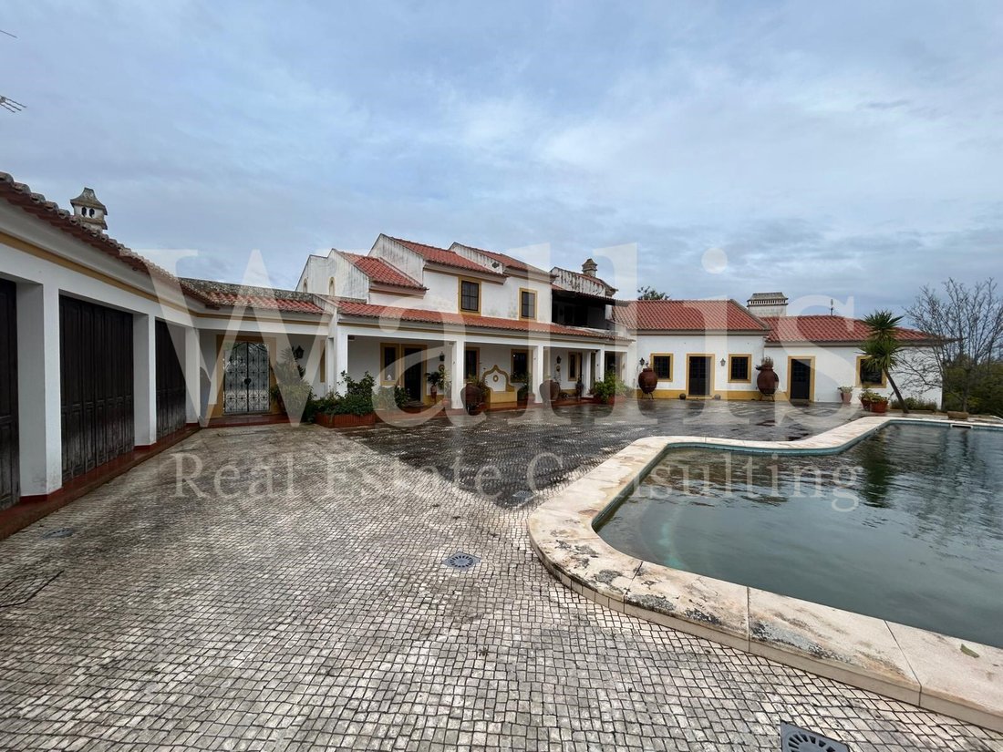 Finca in Ciborro, Évora District, Portugal 1 - 16960945