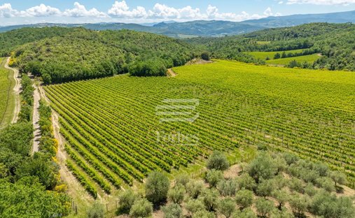 Azienda agricola a Montalcino, Toscana, Italia 1
