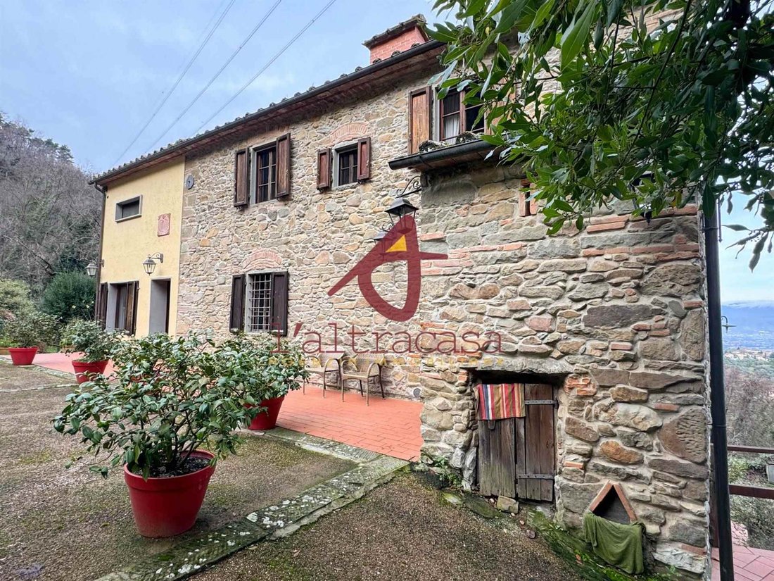 Center, Catena, Tuscany 3 - 16960395