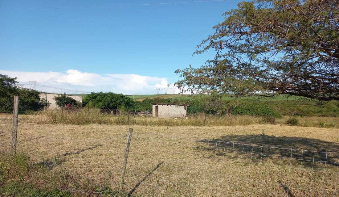 Farm Ranch in Richards Bay, KwaZulu-Natal, South Africa 5 - 16958794
