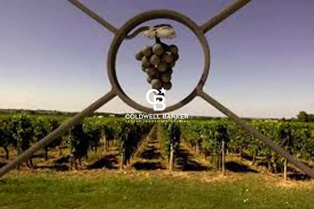 Farm Ranch in Neac, Nouvelle-Aquitaine, France 3 - 16960813