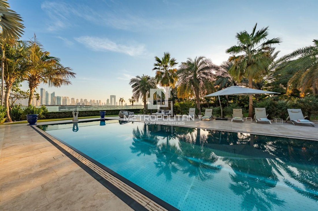 Villa in Palm Jumeirah, Dubai, United Arab Emirates 1 - 16958822