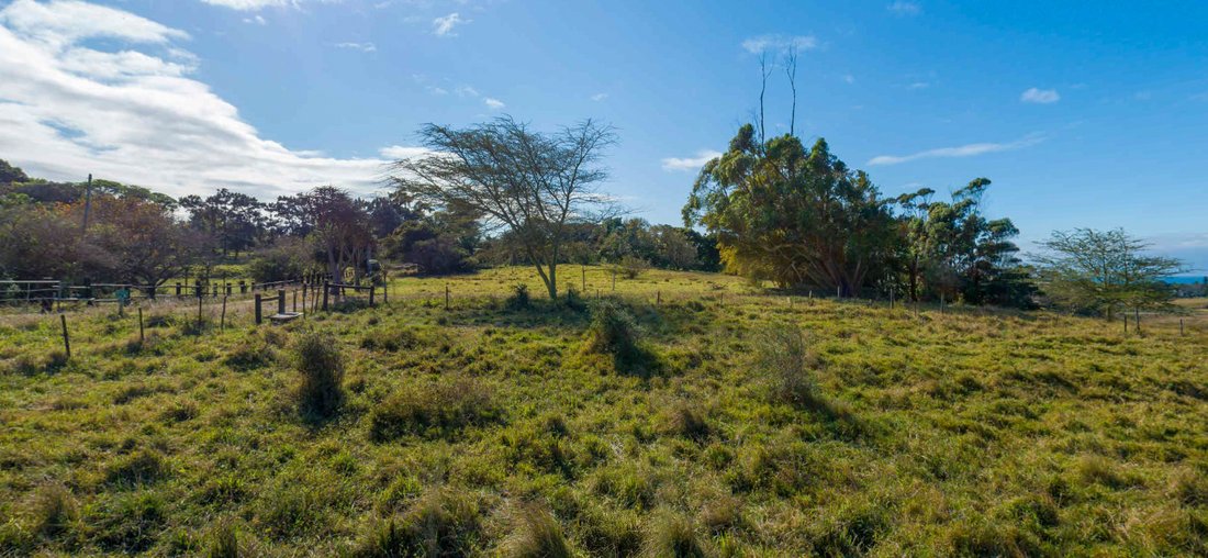 Land in Ballito, KwaZulu-Natal, South Africa 5 - 16958795