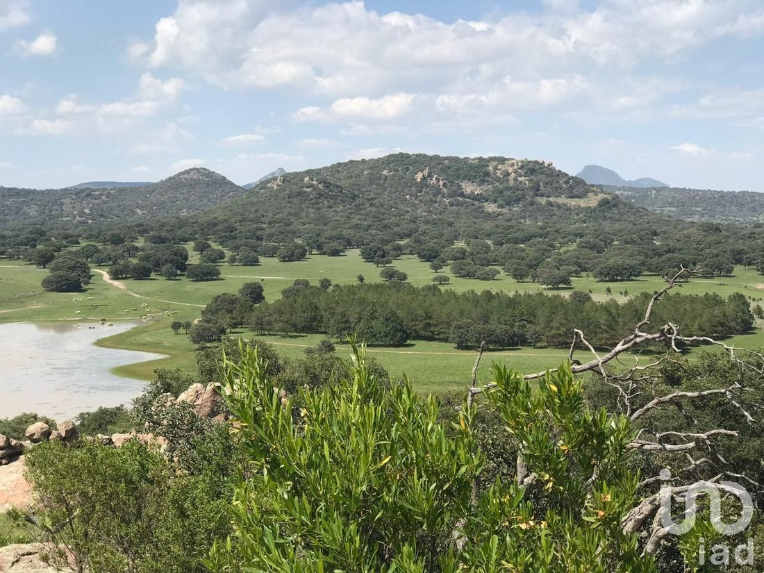 Land in Don Carlos, Jalisco, Mexico 3 - 16958377
