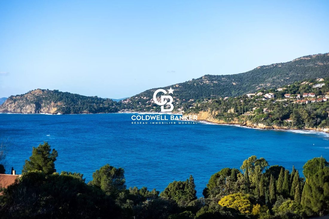 Villa in French Riviera, Provence-Alpes-Côte d'Azur, France 3 - 16958493
