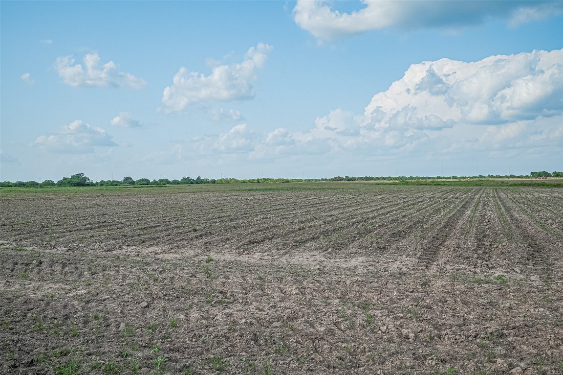 Land in Wallis, Texas, United States 4 - 16960961