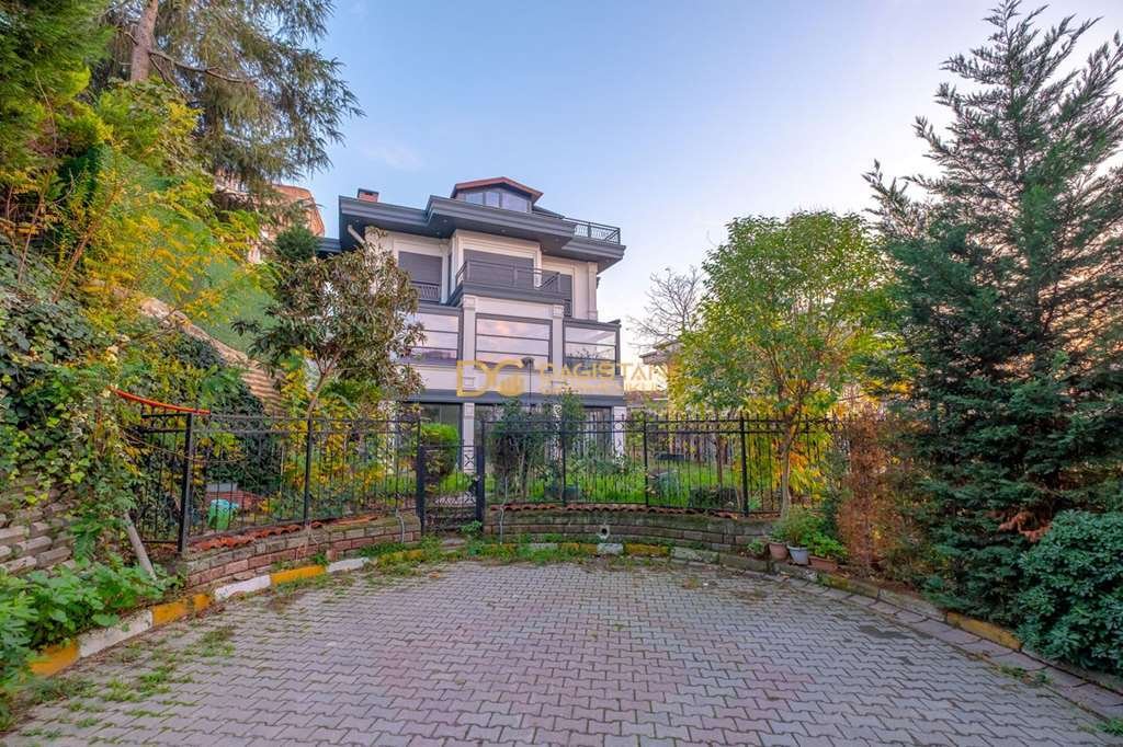 İstanbul, İstanbul, Turkey 1 - 16960733