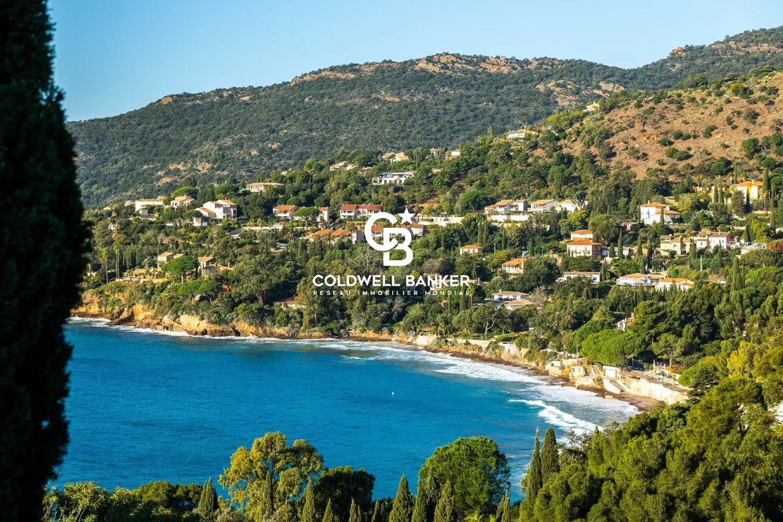 Villa in French Riviera, Provence-Alpes-Côte d'Azur, France 5 - 16958493