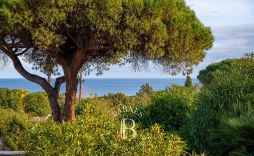 Casa a Ramatuelle, Provenza-Alpi-Costa Azzurra, Francia 1