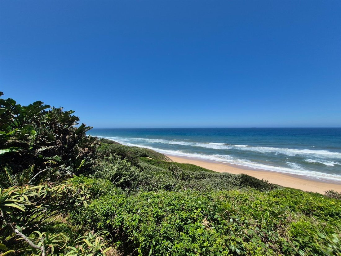 Farm Ranch in Brighton Beach, KwaZulu-Natal, South Africa 5 - 16960068