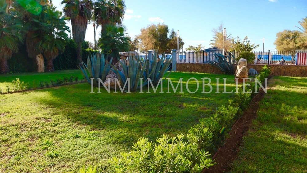 Apartment in Palma, Balearic Islands, Spain 3 - 16958524