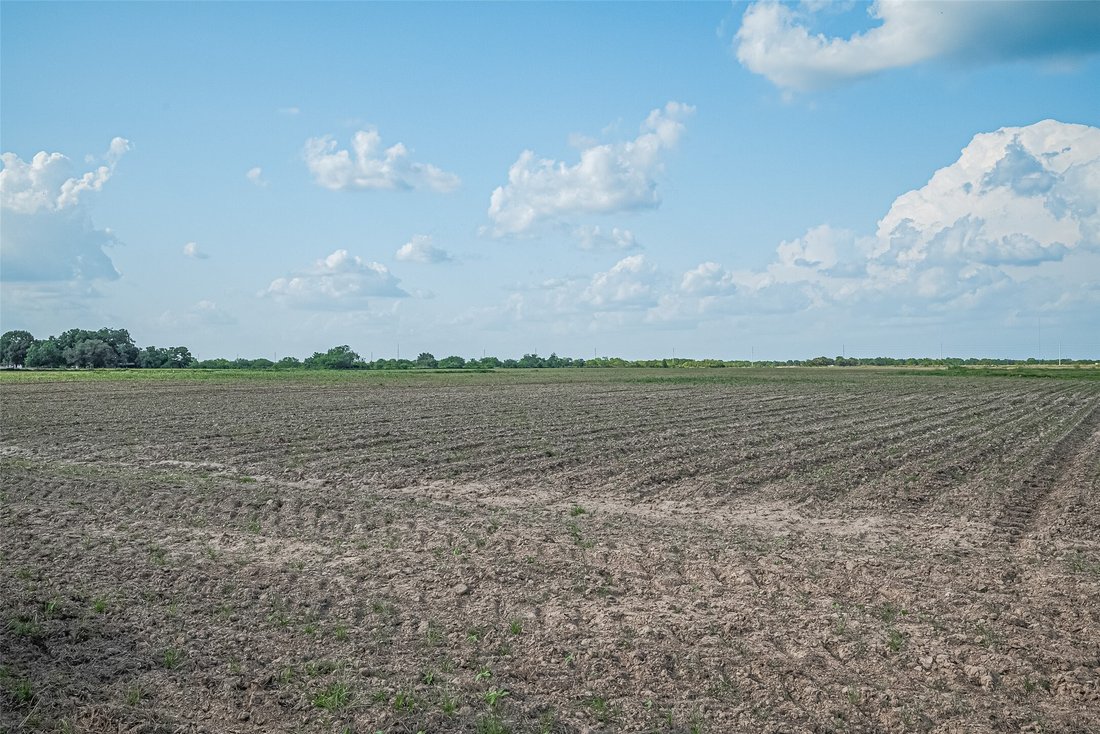 Land in Wallis, Texas, United States 5 - 16960961