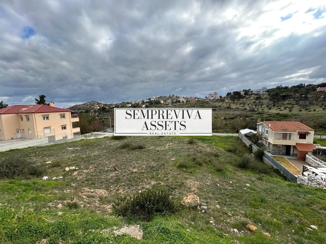 Land in Drafi, Pikermi, Attica 3 - 16959756