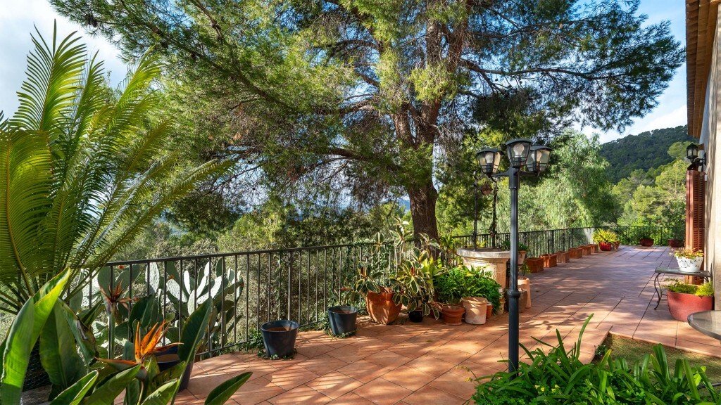 Farm Ranch in Bunyola, Balearic Islands, Spain 1 - 16959185