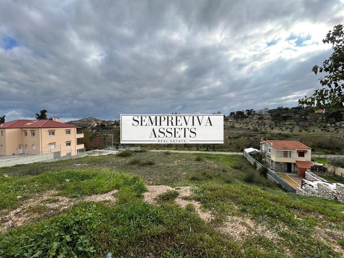 Land in Drafi, Pikermi, Attica 4 - 16959756