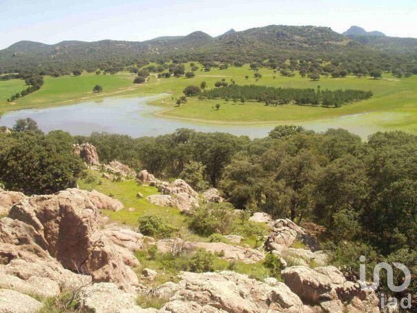 Land in Don Carlos, Jalisco, Mexico 4 - 16958377