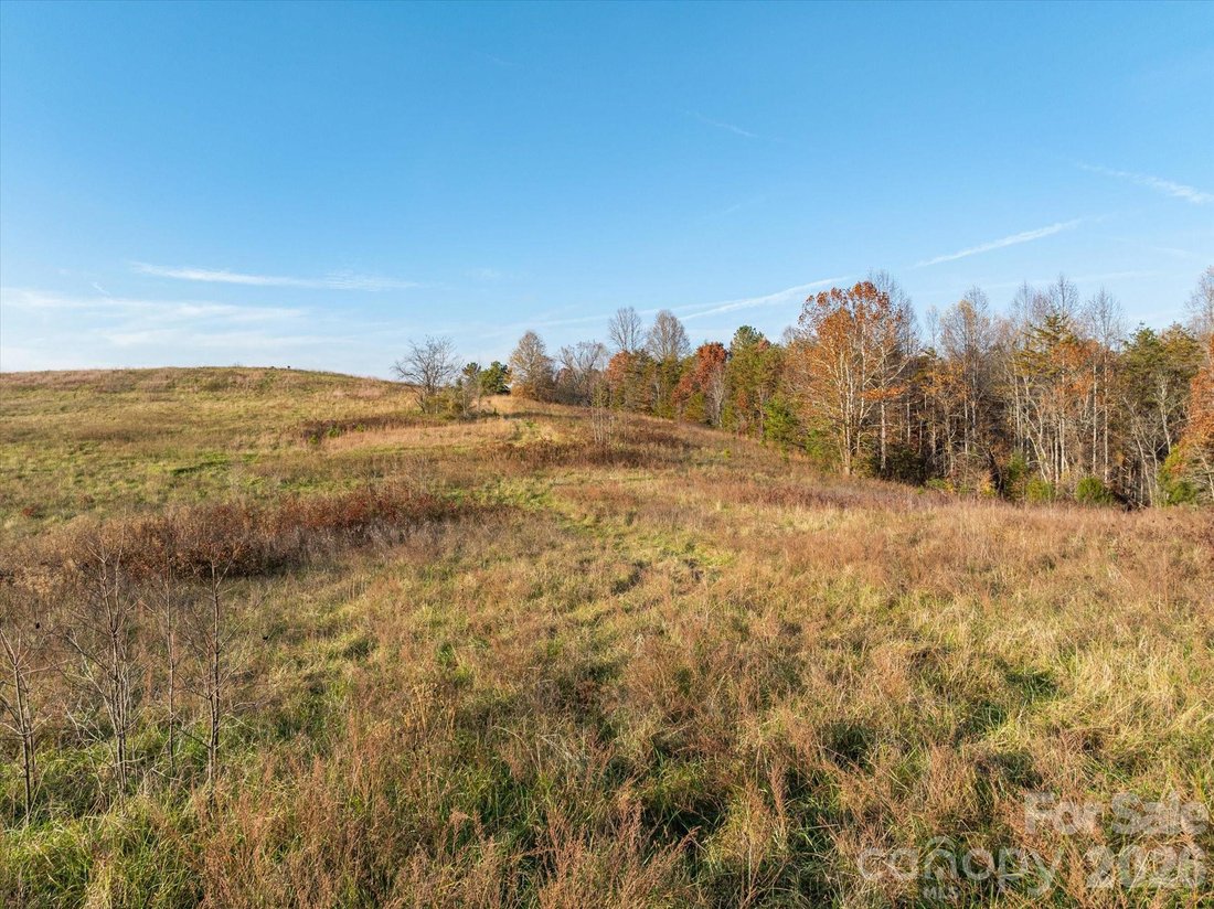 Land in Mill Spring, North Carolina, United States 5 - 16664918