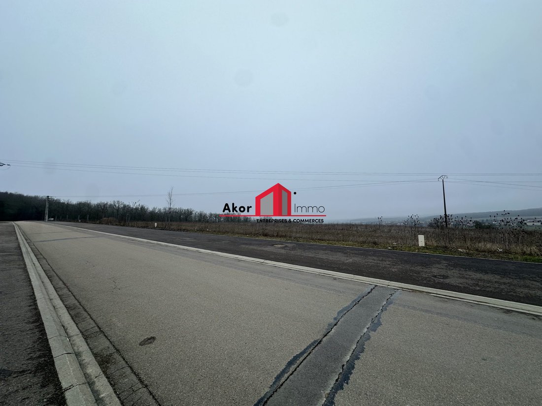 Land in Venoy, Bourgogne – Franche-Comté, France 4 - 16961433