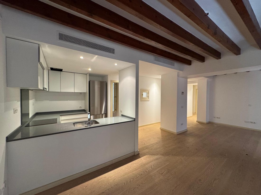 Apartment in Palma, Balearic Islands, Spain 5 - 16962129