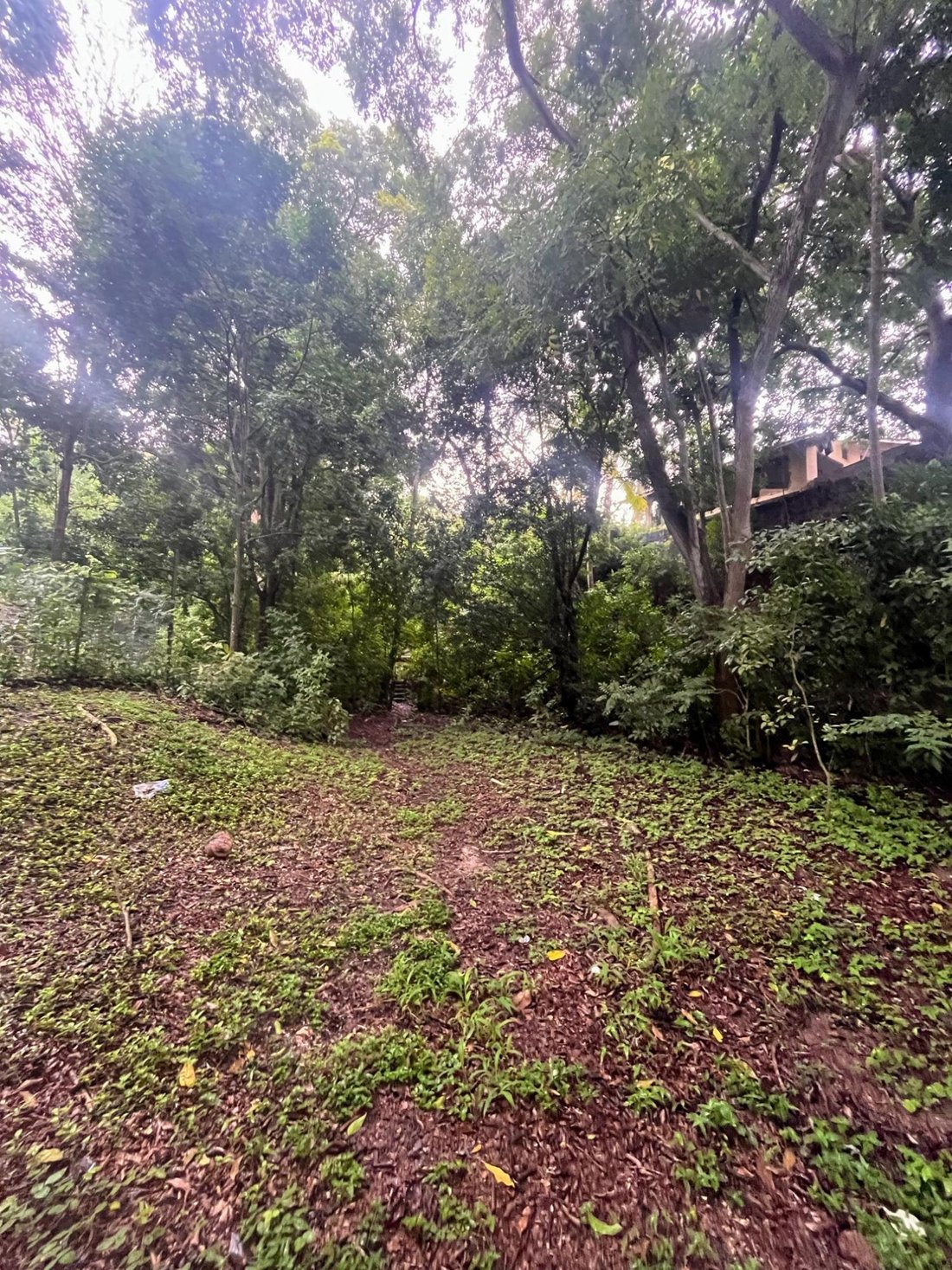 Land in Rio Hato, Coclé Province, Panama 3 - 16961897