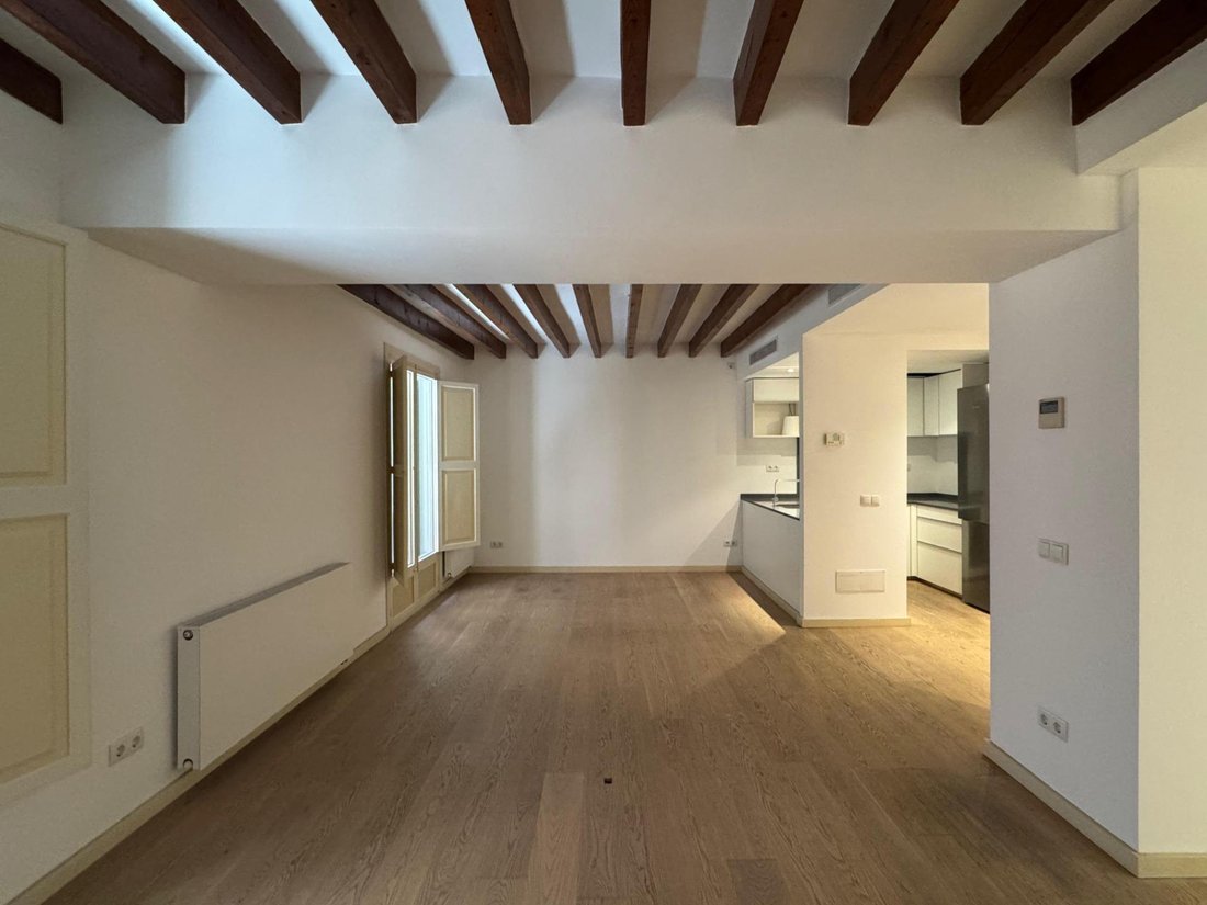 Apartment in Palma, Balearic Islands, Spain 1 - 16962129