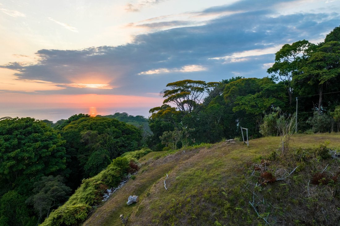 Land in Dominicalito, Puntarenas Province, Costa Rica 4 - 16962396