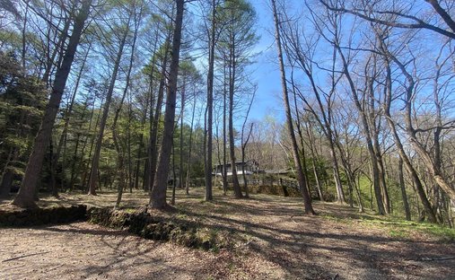 Land in Karuizawa, Nagano, Japan 1