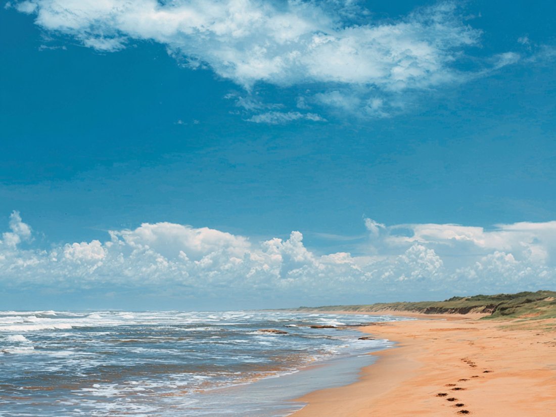 Land in La Paloma, Rocha Department, Uruguay 2 - 16962368