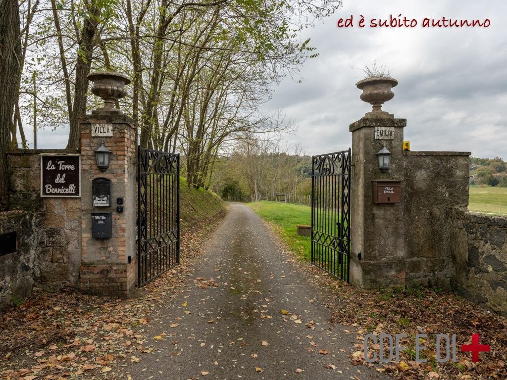 Country House in Center, Orvieto, Umbria 5 - 16963043