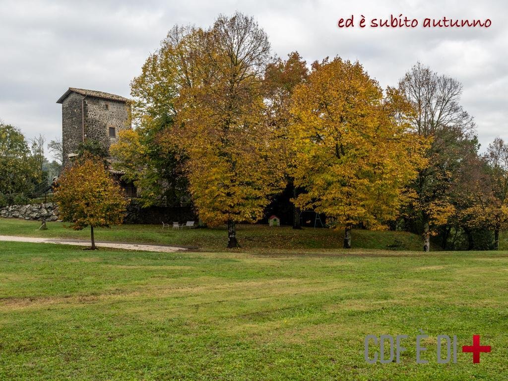 Country House in Center, Orvieto, Umbria 3 - 16963043