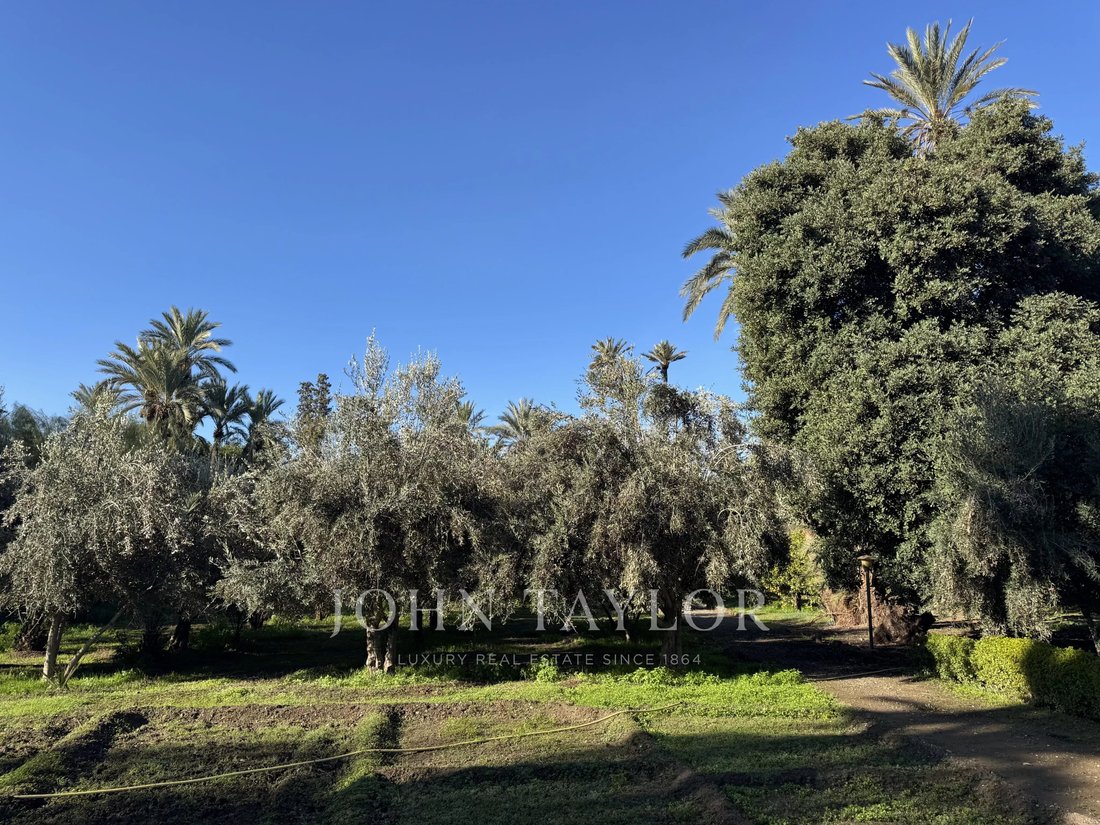 Villa in Menara, Marrakesh-Safi, Morocco 5 - 15064532