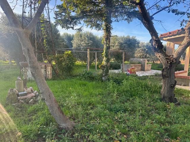 Andere in San Donato - Polverosa, Orbetello, Toskana 5 - 16966737