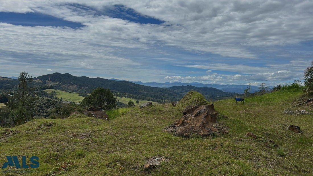 Terreno a La Explanada, Dipartimento di Antioquia, Colombia 1 - 16966236