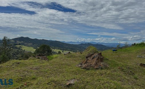 Terrain à La Explanada, Antioquia, Colombie 1