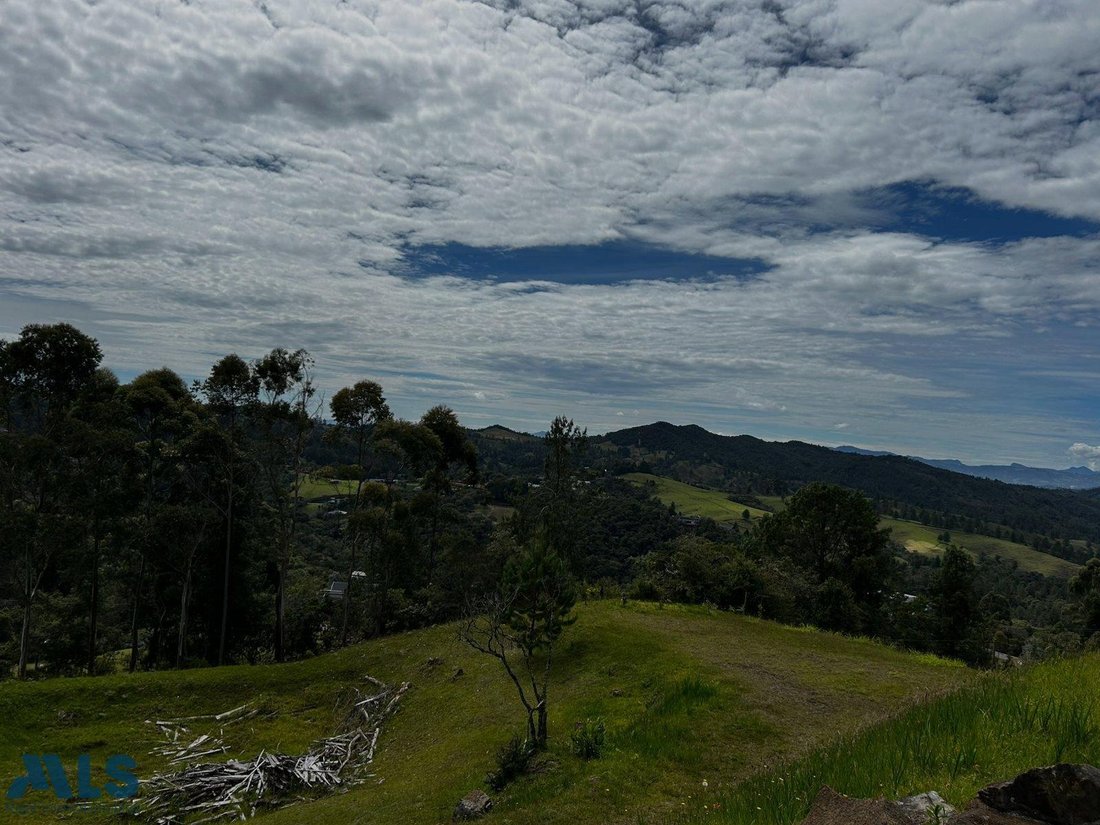Terreno a La Explanada, Dipartimento di Antioquia, Colombia 3 - 16966236