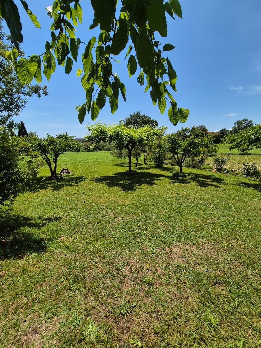Finca in Llagostera, Catalonia, Spain 5 - 16966467