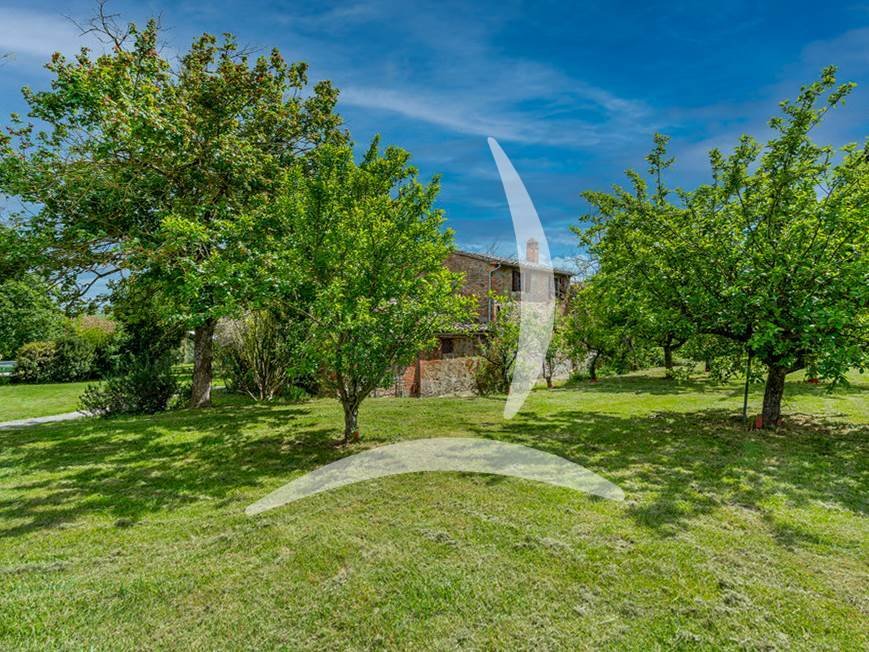 Foiano della Chiana, Tuscany, Italy 3 - 13586274