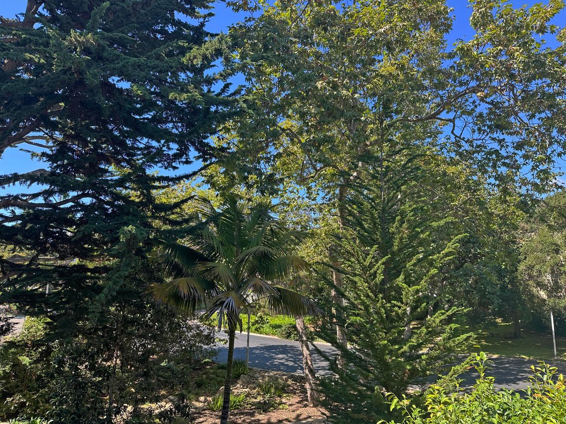 Condo in Montecito, California, United States 4 - 16965295