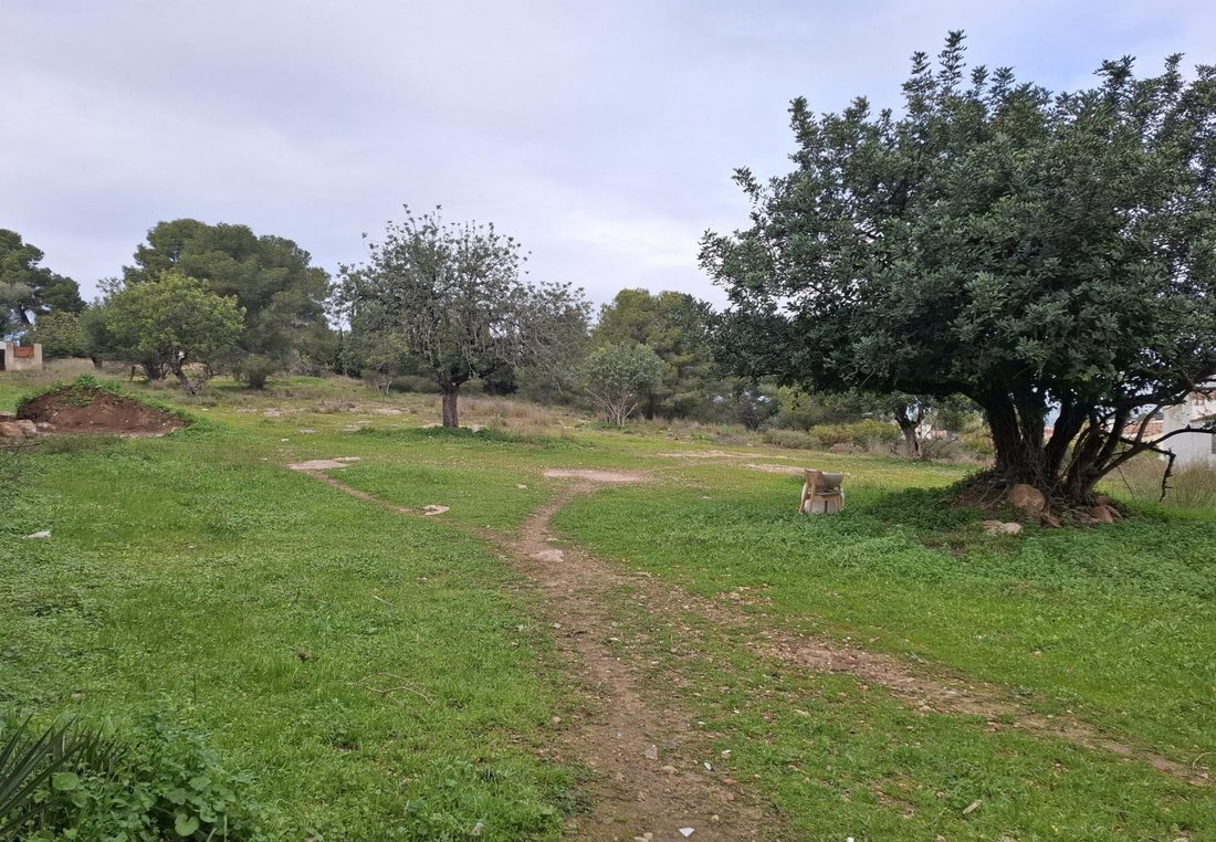 la Pobla de Vallbona, Valencian Community, Spain 1 - 15884408