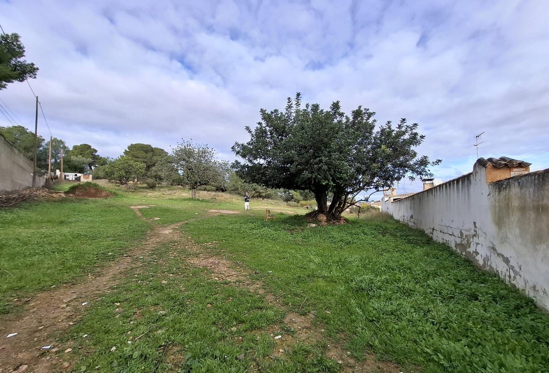 la Pobla de Vallbona, Valencian Community, Spain 2 - 15884408