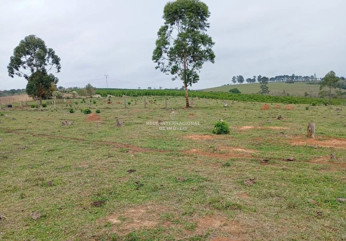 Farm Ranch in Araçoiaba da Serra, State of São Paulo, Brazil 4 - 16968487