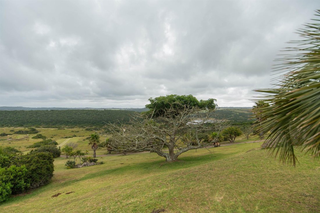 Farm Ranch in Nelson Mandela Bay Metropolitan Municipality, Eastern Cape, South Africa 2 - 16966826