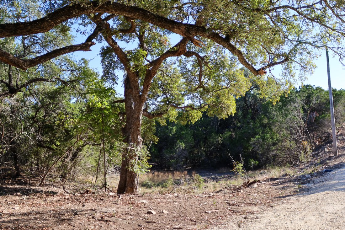 Land in Wimberley, Texas, United States 2 - 16965049
