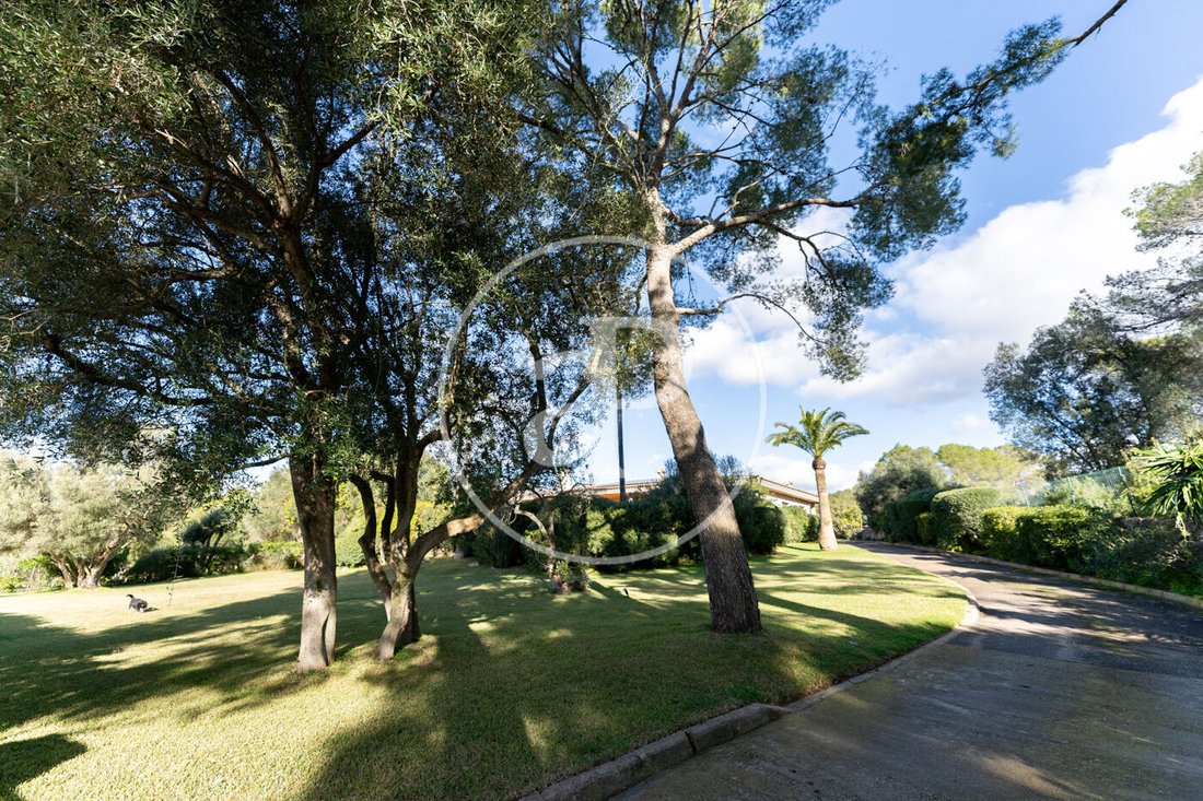 Villa in Marratxi, Balearic Islands, Spain 2 - 16964577