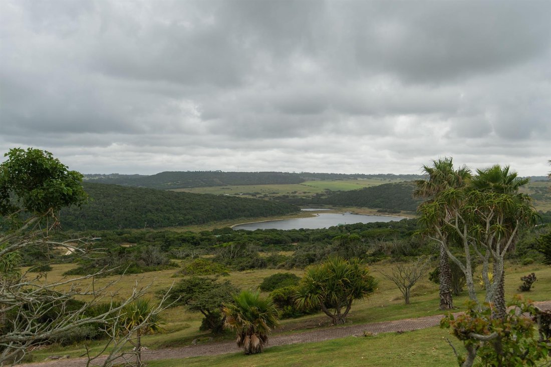 Farm Ranch in Nelson Mandela Bay Metropolitan Municipality, Eastern Cape, South Africa 4 - 16966826