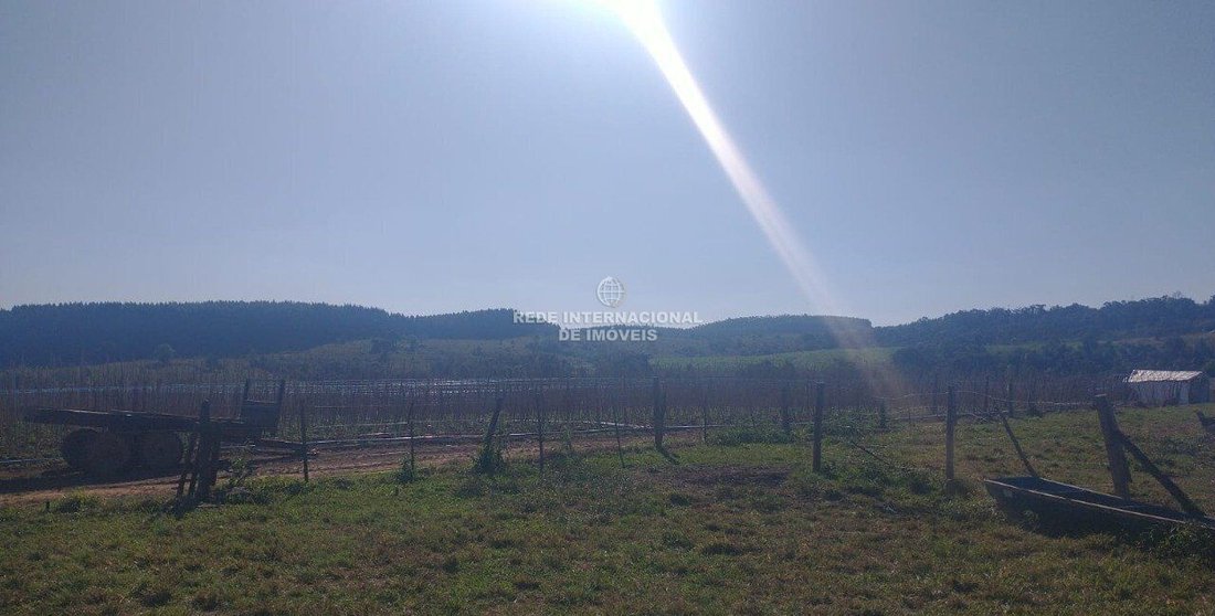 Farm Ranch in Ronco, State of Paraná, Brazil 1 - 16968475