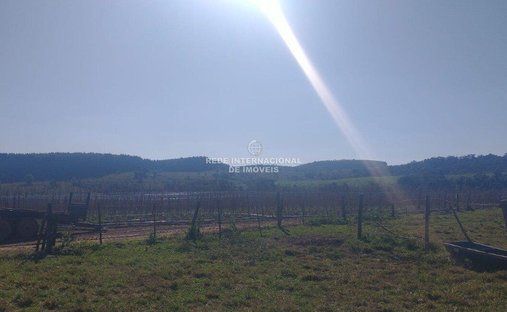 Farm Ranch in Ronco, State of Paraná, Brazil 1