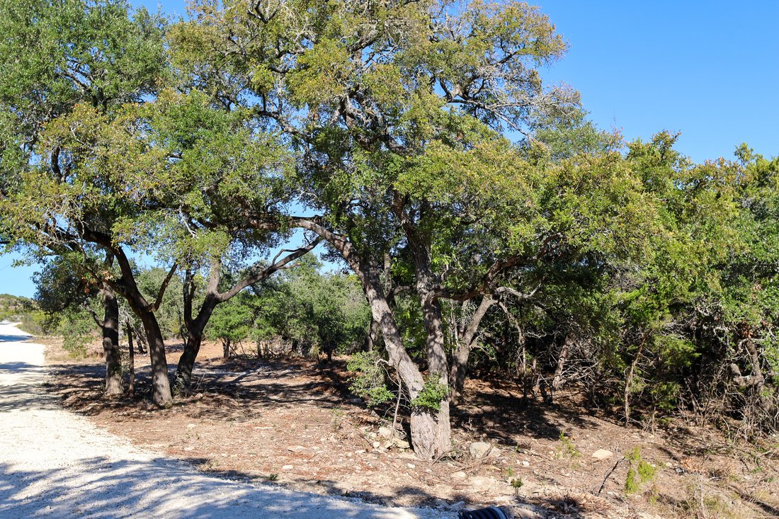 Land in Wimberley, Texas, United States 3 - 16965049